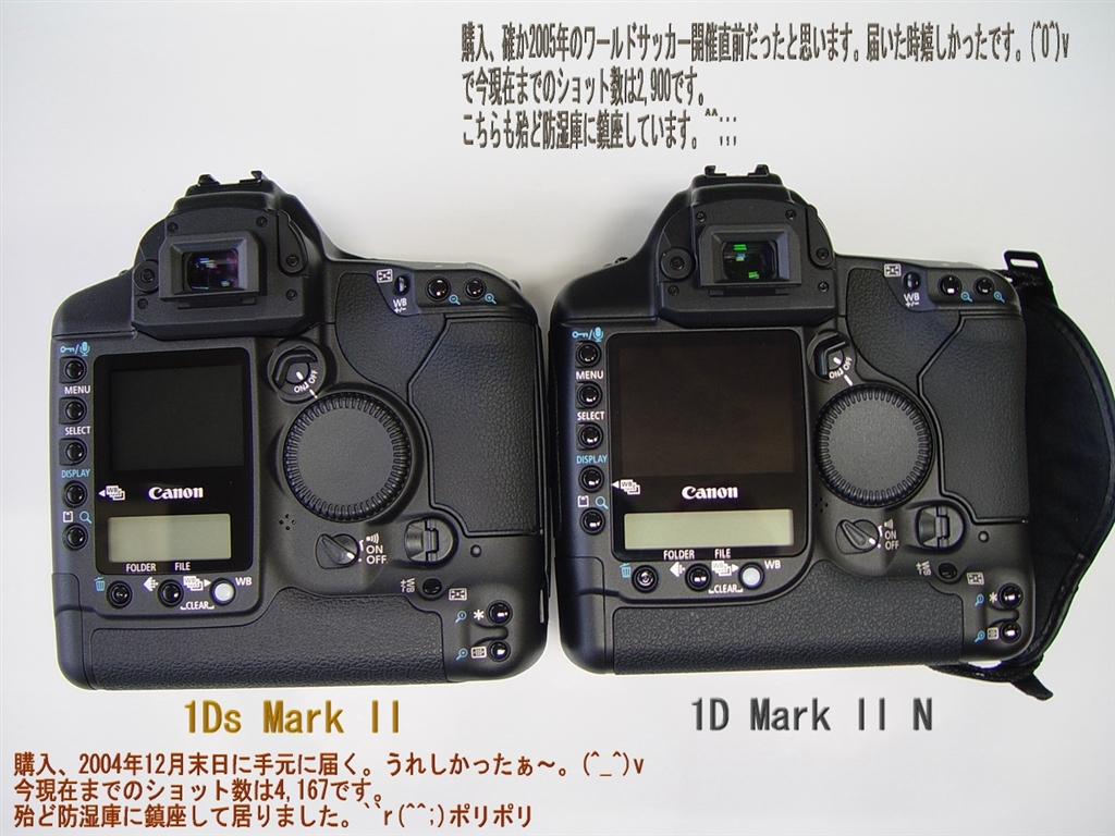 Canon 1d Mark Ii N User Manual